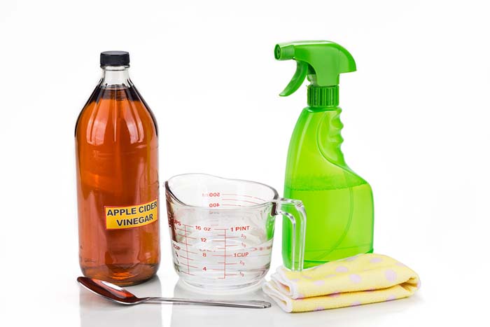 how to use flea spray in your house