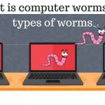 what is computer worm and types of worm,