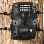 Wildgame Innovations Trail Camera