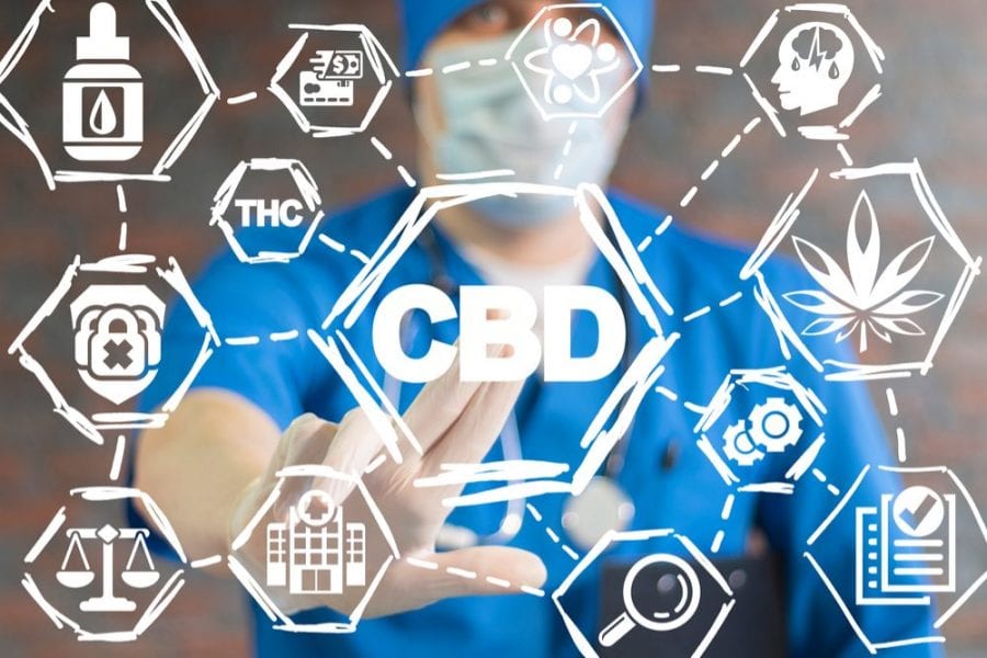 CBD tolerance and addiction Facts to help you put your worries to rest