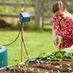 13 Cheap and Easy DIY Irrigation Systems for a Self-Watering Garden