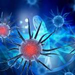 how to test corona virus infection