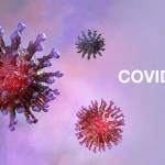 All You Need to Know About SARS-CoV-2 (Coronavirus)