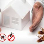 Control pest in your home