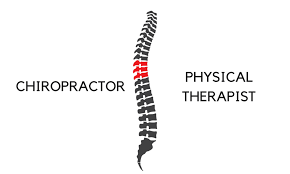 Chiropractor vs Physical Therapy For Back Pain
