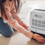All about dehumidifiers.