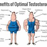 How does testosterone work?