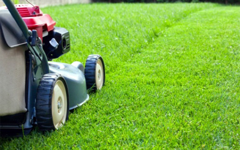 What are the advantages of Professional Lawn Maintenance Services?  1
