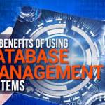 This is how developing a business database will benefit you