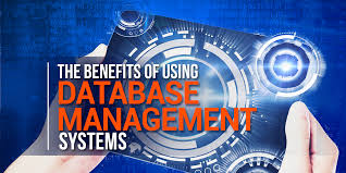 This is how developing a business database will benefit you