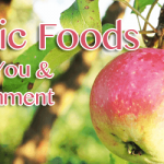 organic foods better for environment