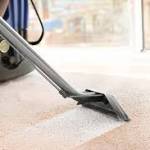 Steam Clean Your Carpets