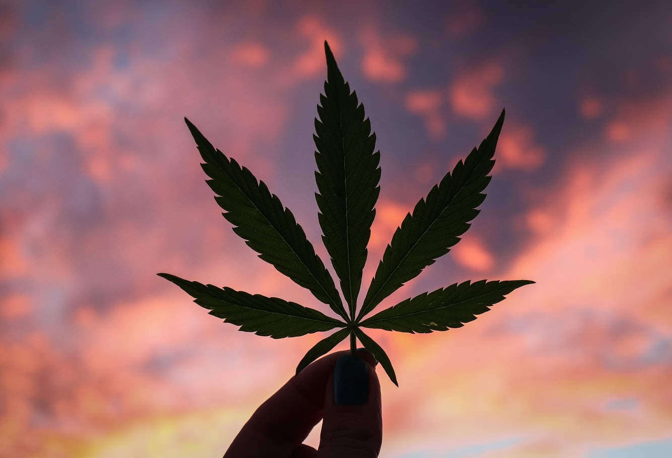 Cannabis High Dissapear