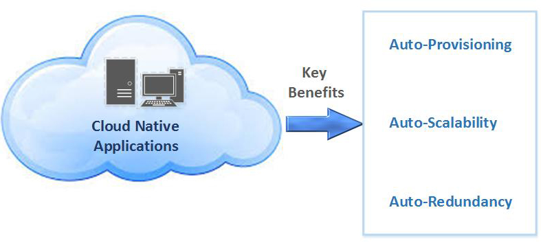 Advantage of the Benefits Provided by Cloud-Native Infrastructures?