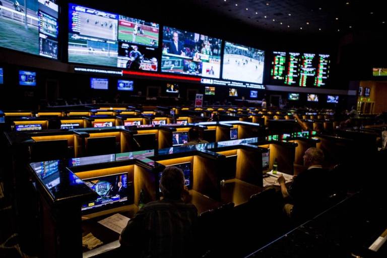 computer scientist sports betting system