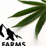 High Farms partners