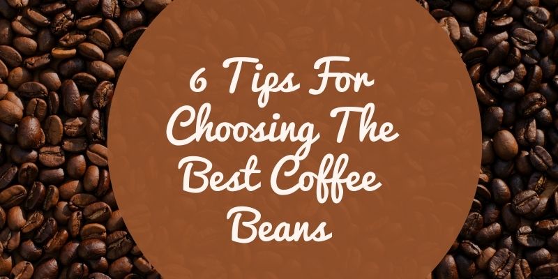 6 Tips For Choosing The Best Coffee Beans