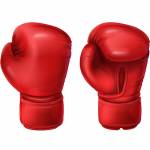 4 Tips and Tricks to Opt Beginner's Boxing Gloves