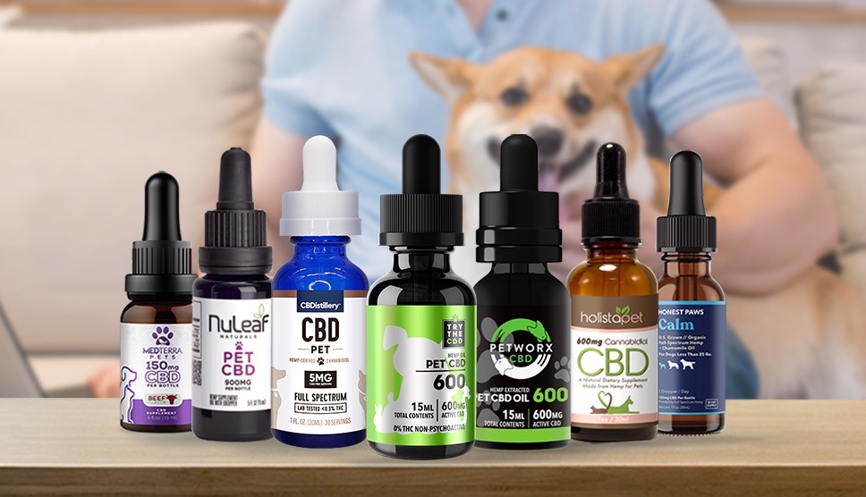 Try CBD oil if your dog can’t sleep