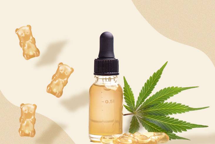 A Guide to THC Marijuana Products & Proper Dosage