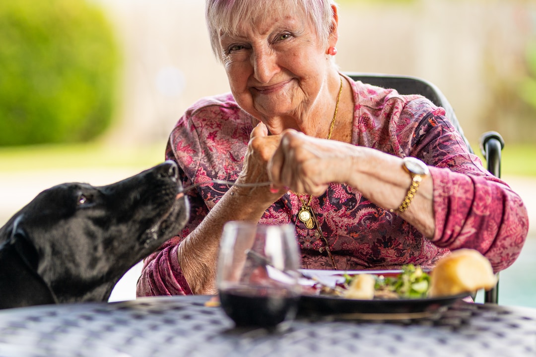 3 Medical Services That Make Life Easier for Seniors