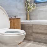 6 Best toilet flushing toilet in 2022