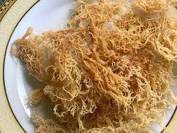 The Top Health Benefits of Sea Moss