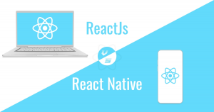 React.js developers