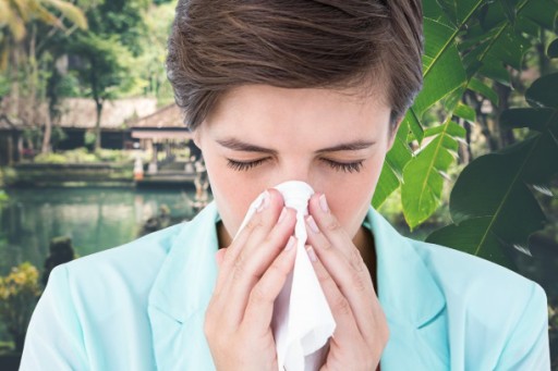 What are the Most Common Triggers for Allergies