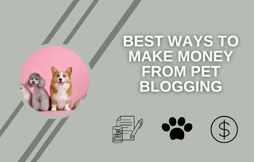 Pet Blogging