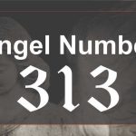 313 Angel Number Track the Success of Your Life