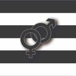 Straight Flag Understanding Heterosexuality & Pride Flag