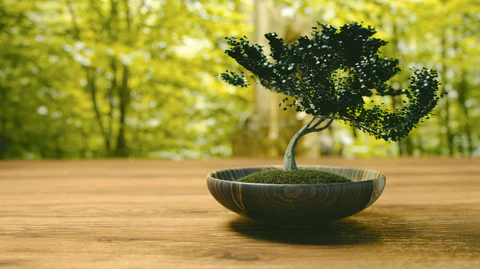 The History and Cultural Significance of Bonsai Trees in Different Societies