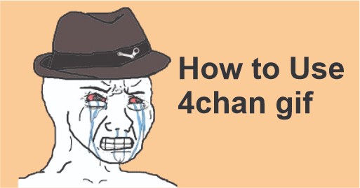 How to Use 4chan gif