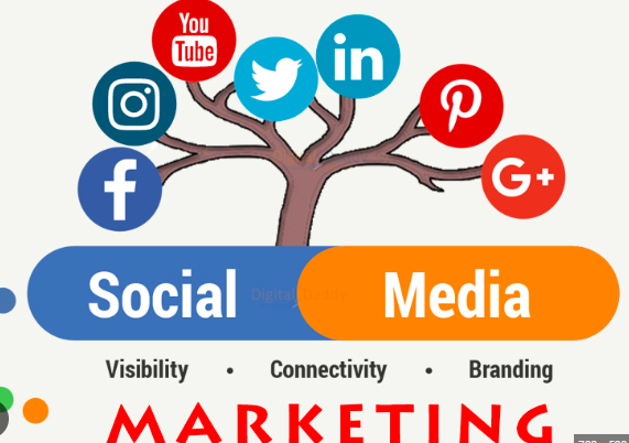 Enhance your online presence with social media marketing and web design services