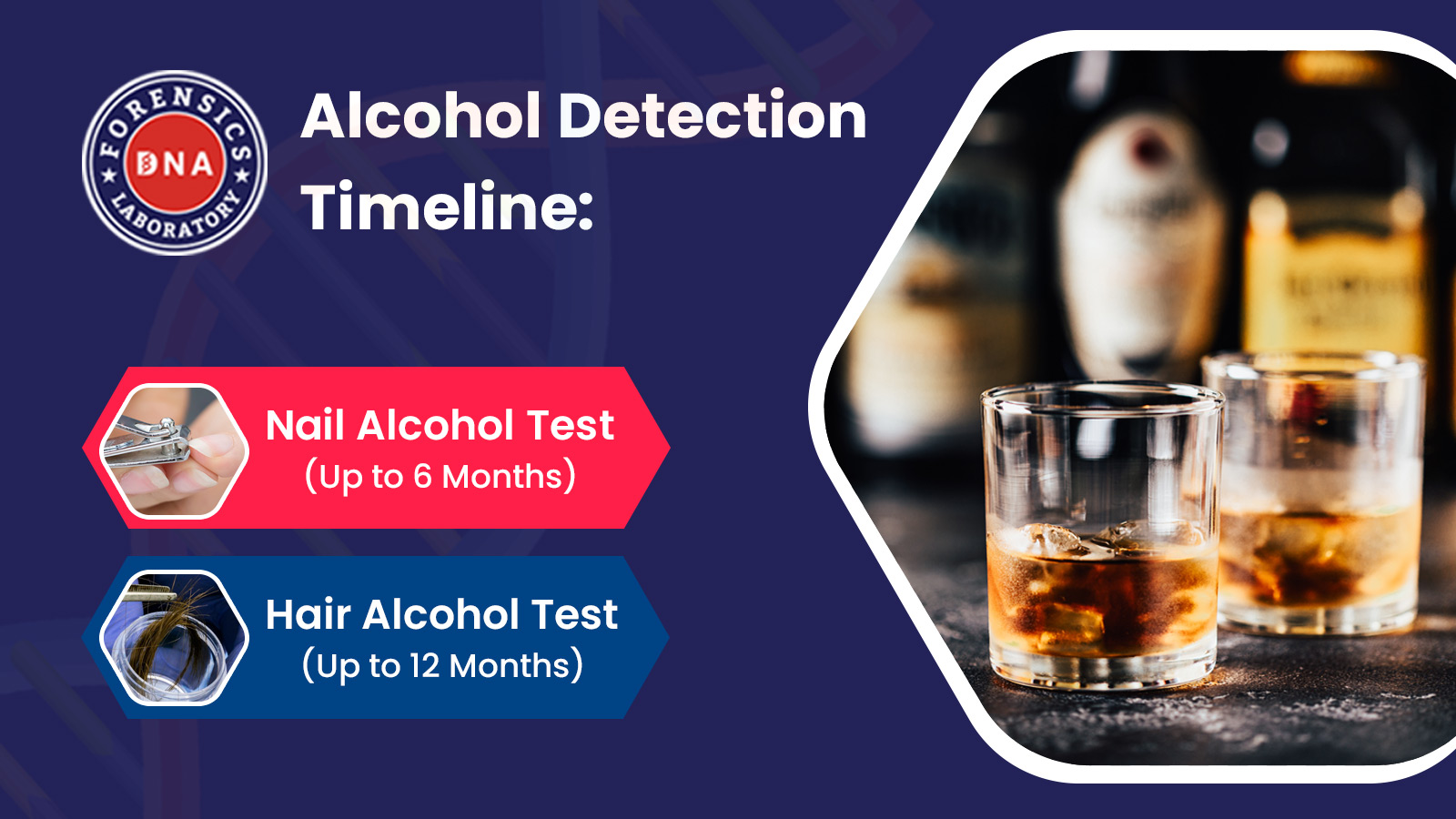 Alcohol detection timeline