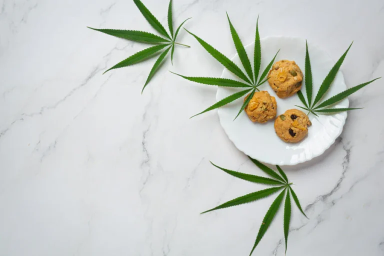 Navigating the World of Cannabis Edibles